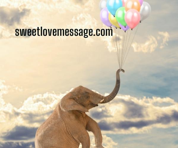  Elephant with Balloon Caption with Quotes