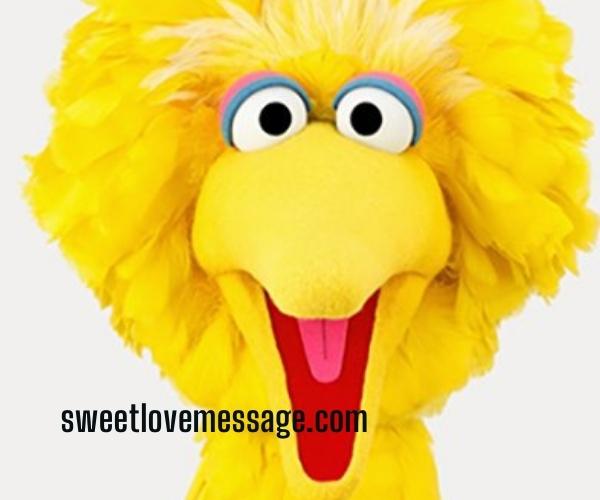 Funny Big Bird Captions with Quotes