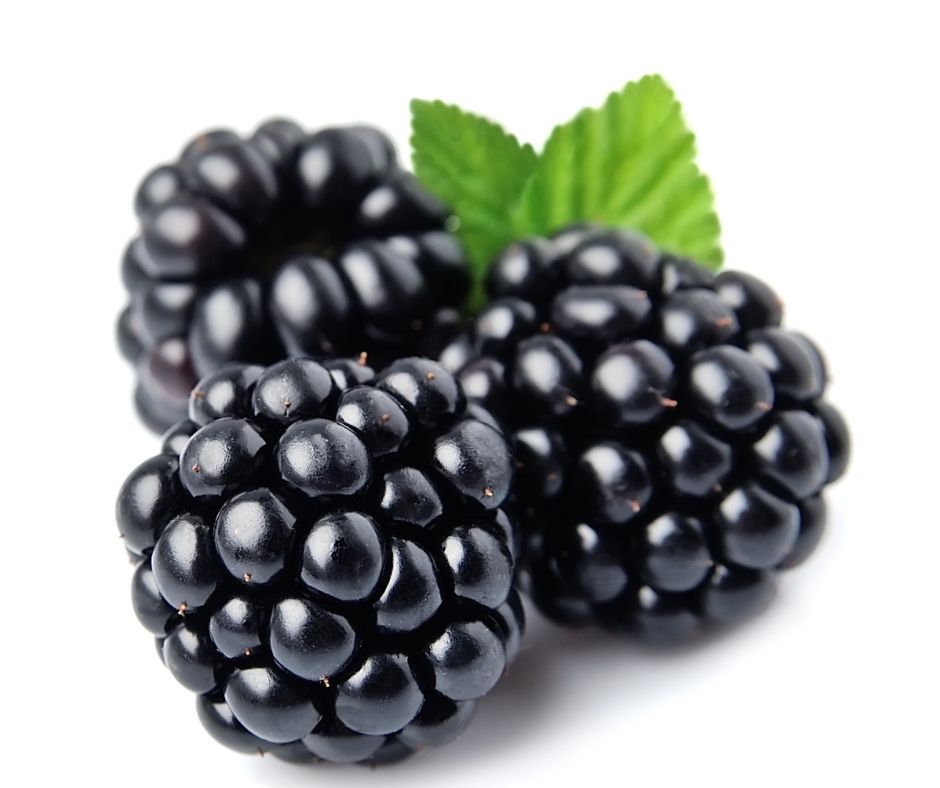 Quotes About Blackberries Fruit For Instagram